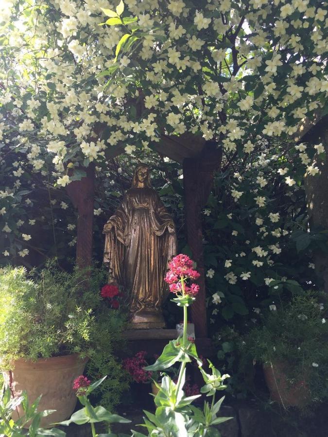 Castiglione In TeverinaEdy House公寓 外观 照片